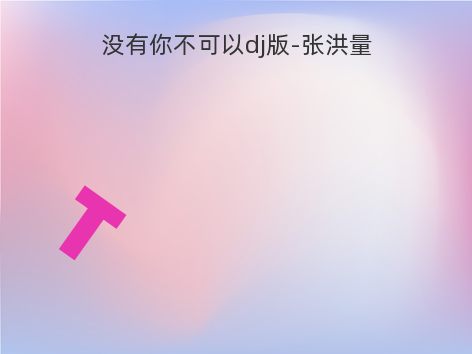 没有你不可以dj版-张洪量