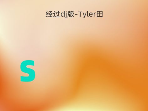 经过dj版-Tyler田