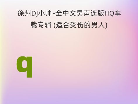 徐州DJ小帅-全中文男声连版HQ车载专辑 (适合受伤的男人)