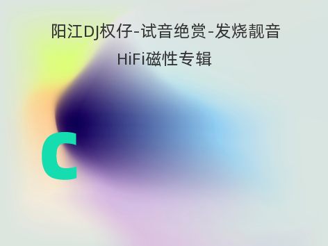 阳江DJ权仔-试音绝赏-发烧靓音HiFi磁性专辑