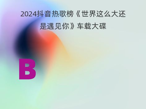 2024抖音热歌榜《世界这么大还是遇见你》车载大碟