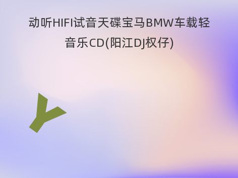 动听HIFI试音天碟宝马BMW车载轻音乐CD(阳江DJ权仔)