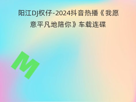 阳江DJ权仔-2024抖音热播《我愿意平凡地陪你》车载连碟