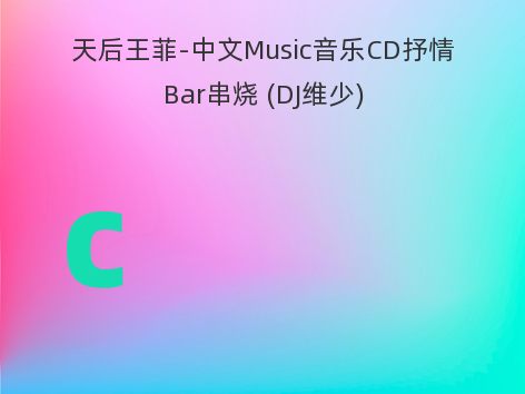 天后王菲-中文Music音乐CD抒情Bar串烧 (DJ维少)