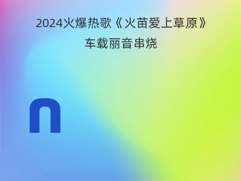 2024火爆热歌《火苗爱上草原》车载丽音串烧