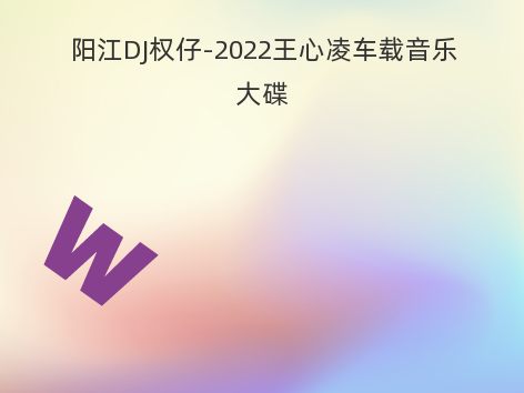 阳江DJ权仔-2022王心凌车载音乐大碟