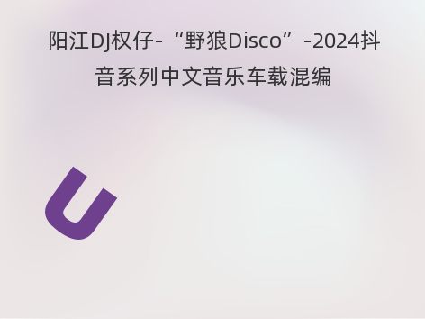 阳江DJ权仔-“野狼Disco”-2024抖音系列中文音乐车载混编