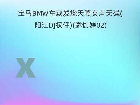 宝马BMW车载发烧天籁女声天碟(阳江DJ权仔)(露伽婷02)