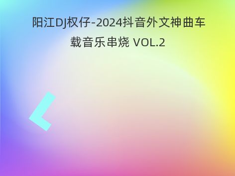 阳江DJ权仔-2024抖音外文神曲车载音乐串烧 VOL.2