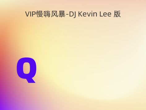 VIP慢嗨风暴-DJ Kevin Lee 版