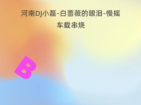 河南DJ小磊-白蔷薇的眼泪-慢摇车载串烧