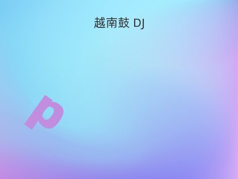 越南鼓 DJ