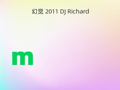 幻觉 2011 DJ Richard