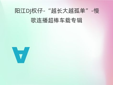 阳江DJ权仔-“越长大越孤单”-慢歌连播超棒车载专辑