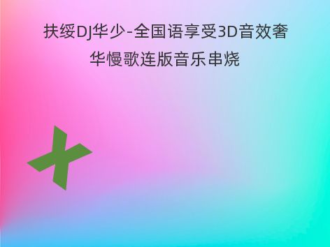 扶绥DJ华少-全国语享受3D音效奢华慢歌连版音乐串烧