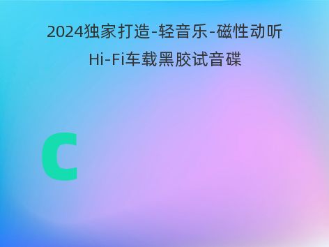 2024独家打造-轻音乐-磁性动听Hi-Fi车载黑胶试音碟