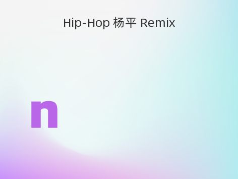 Hip-Hop 杨平 Remix