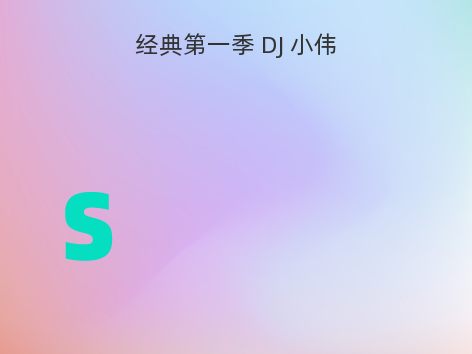 经典第一季 DJ 小伟