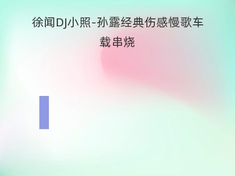 徐闻DJ小照-孙露经典伤感慢歌车载串烧