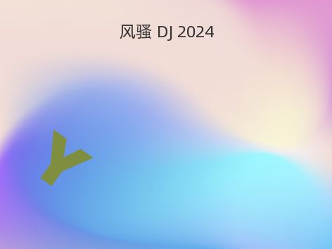 风骚 DJ 2024