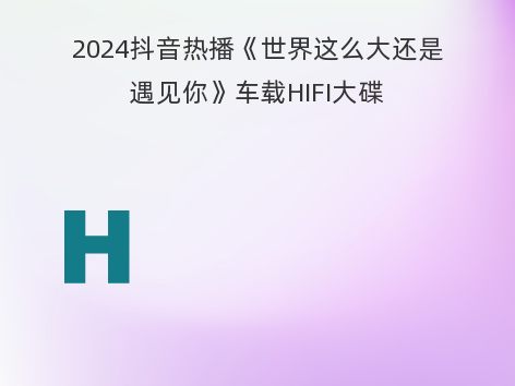 2024抖音热播《世界这么大还是遇见你》车载HIFI大碟