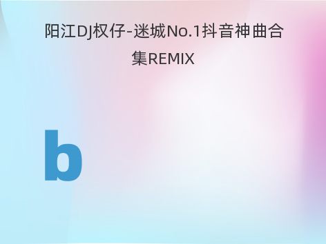 阳江DJ权仔-迷城No.1抖音神曲合集REMIX