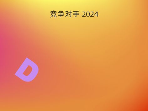 竞争对手 2024