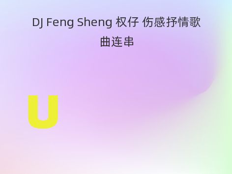 DJ Feng Sheng 权仔 伤感抒情歌曲连串