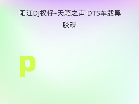 阳江DJ权仔-天籁之声 DTS车载黑胶碟