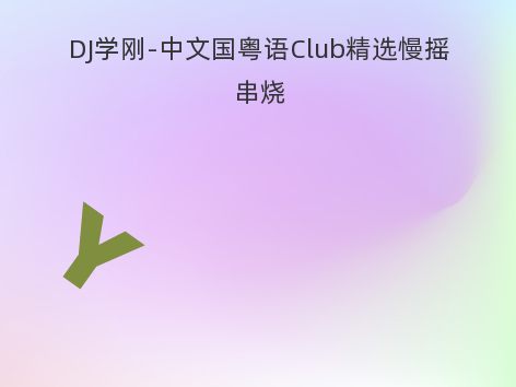 DJ学刚-中文国粤语Club精选慢摇串烧