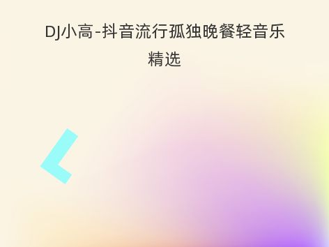 DJ小高-抖音流行孤独晚餐轻音乐精选