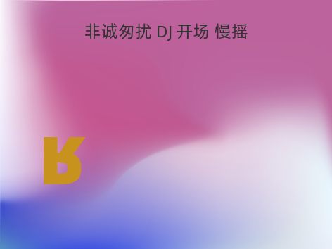 非诚匆扰 DJ 开场 慢摇