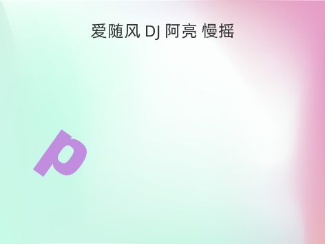 爱随风 DJ 阿亮 慢摇