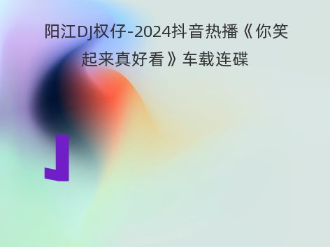 阳江DJ权仔-2024抖音热播《你笑起来真好看》车载连碟