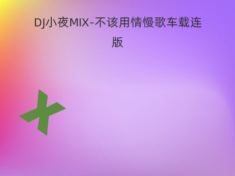 DJ小夜MIX-不该用情慢歌车载连版