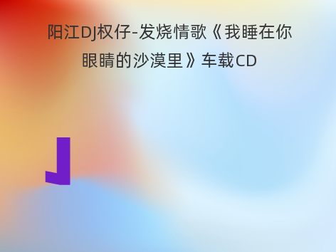 阳江DJ权仔-发烧情歌《我睡在你眼睛的沙漠里》车载CD