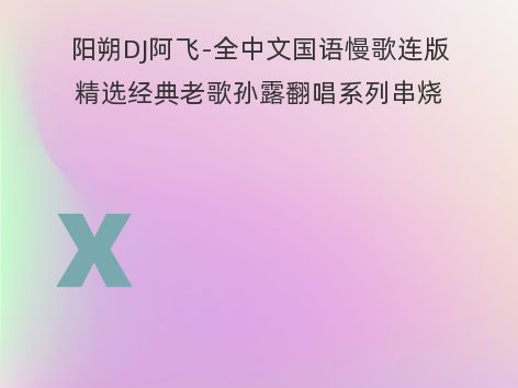 阳朔DJ阿飞-全中文国语慢歌连版精选经典老歌孙露翻唱系列串烧