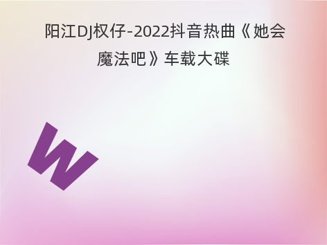 阳江DJ权仔-2022抖音热曲《她会魔法吧》车载大碟