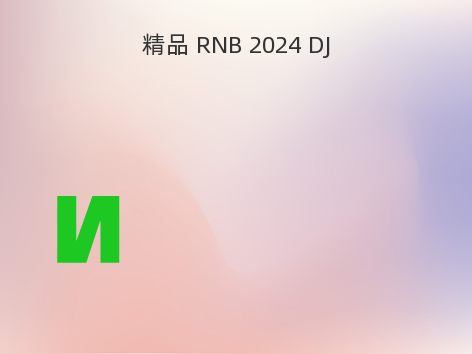 精品 RNB 2024 DJ