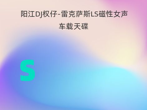 阳江DJ权仔-雷克萨斯LS磁性女声车载天碟