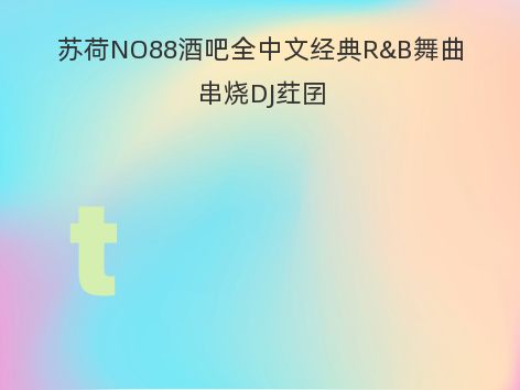 苏荷NO88酒吧全中文经典R&B舞曲串烧DJ荭囝