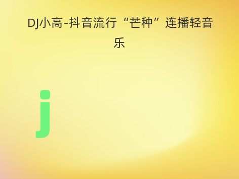 DJ小高-抖音流行“芒种”连播轻音乐