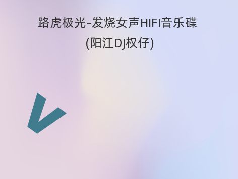 路虎极光-发烧女声HIFI音乐碟 (阳江DJ权仔)