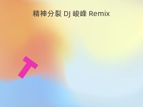 精神分裂 DJ 峻峰 Remix