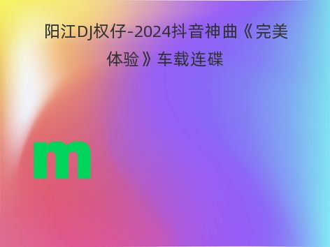 阳江DJ权仔-2024抖音神曲《完美体验》车载连碟