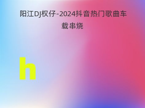 阳江DJ权仔-2024抖音热门歌曲车载串烧