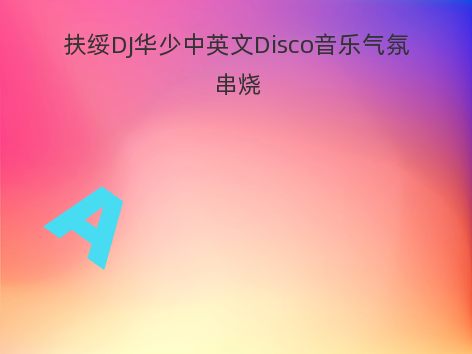 扶绥DJ华少中英文Disco音乐气氛串烧