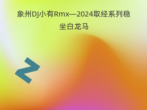 象州DJ小有Rmx—2024取经系列稳坐白龙马