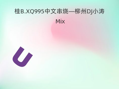 桂B.XQ995中文串烧—柳州DJ小涛 Mix