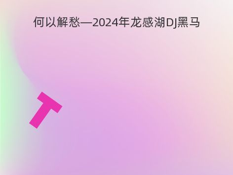 何以解愁—2024年龙感湖DJ黑马